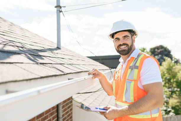 Best Chimney Flashing Repair  in Morris, MN