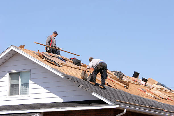 Best Roof Coating and Sealing  in Morris, MN